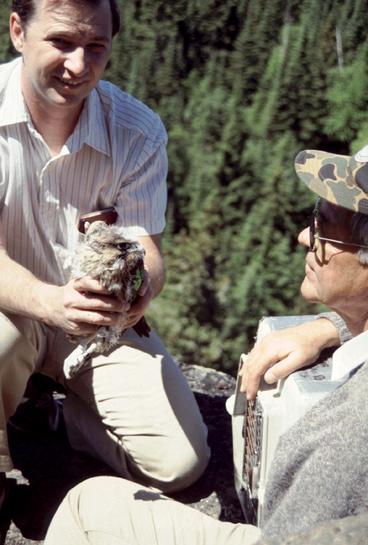 Dr. Redig and Bud Tordoff with a peregrine falcon