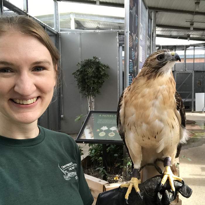 TRC naturalist with a red-tailed hawk