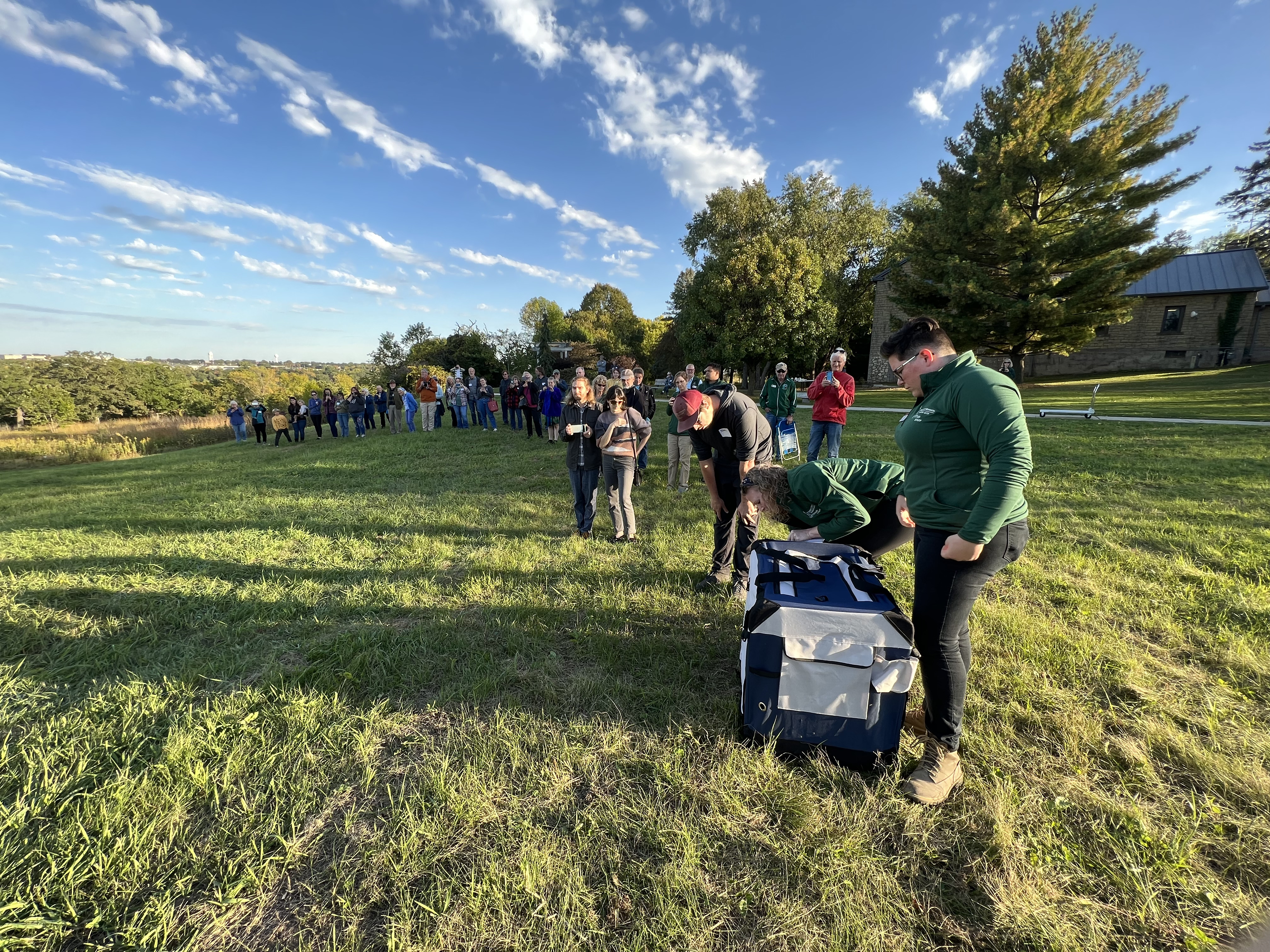 Staff and volunteers prepare to release a bald eagle