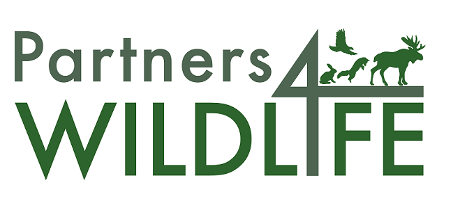 Partners 4 Wildlife logo