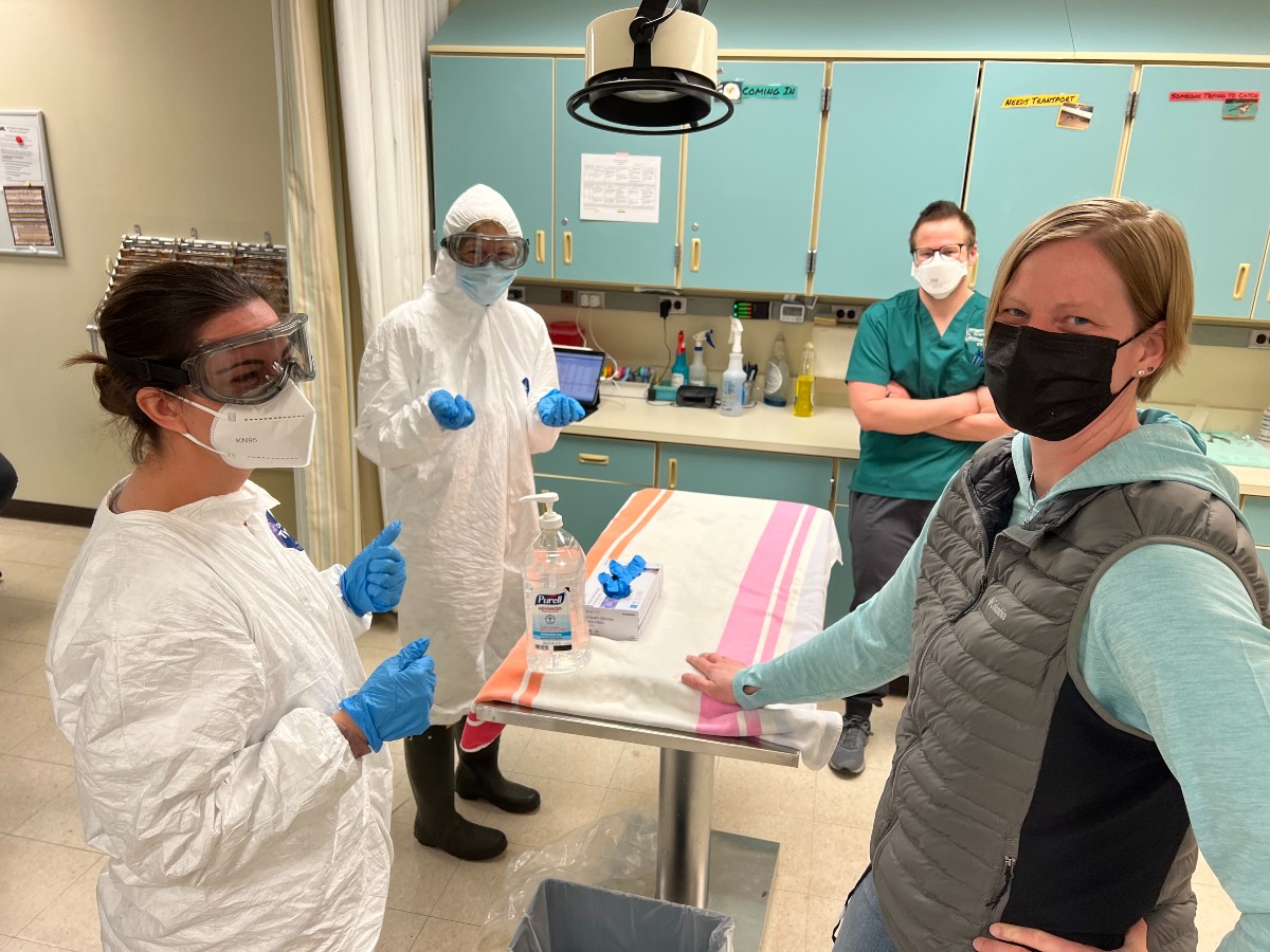 4 people around an exam table wearing gloves and masks a 