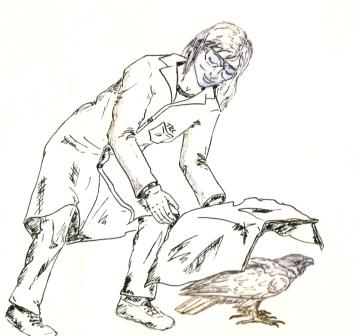 An illustration depicting how to safely cover and capture a raptor to prepare it for transport