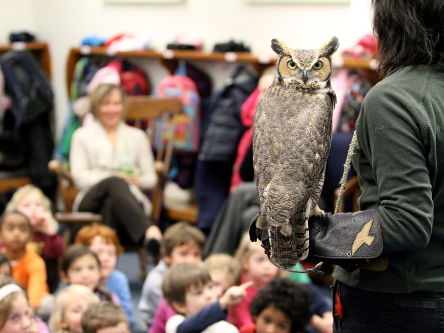 Samantha, TRC's ambassador Great Horned Owl, at one of our educational programs
