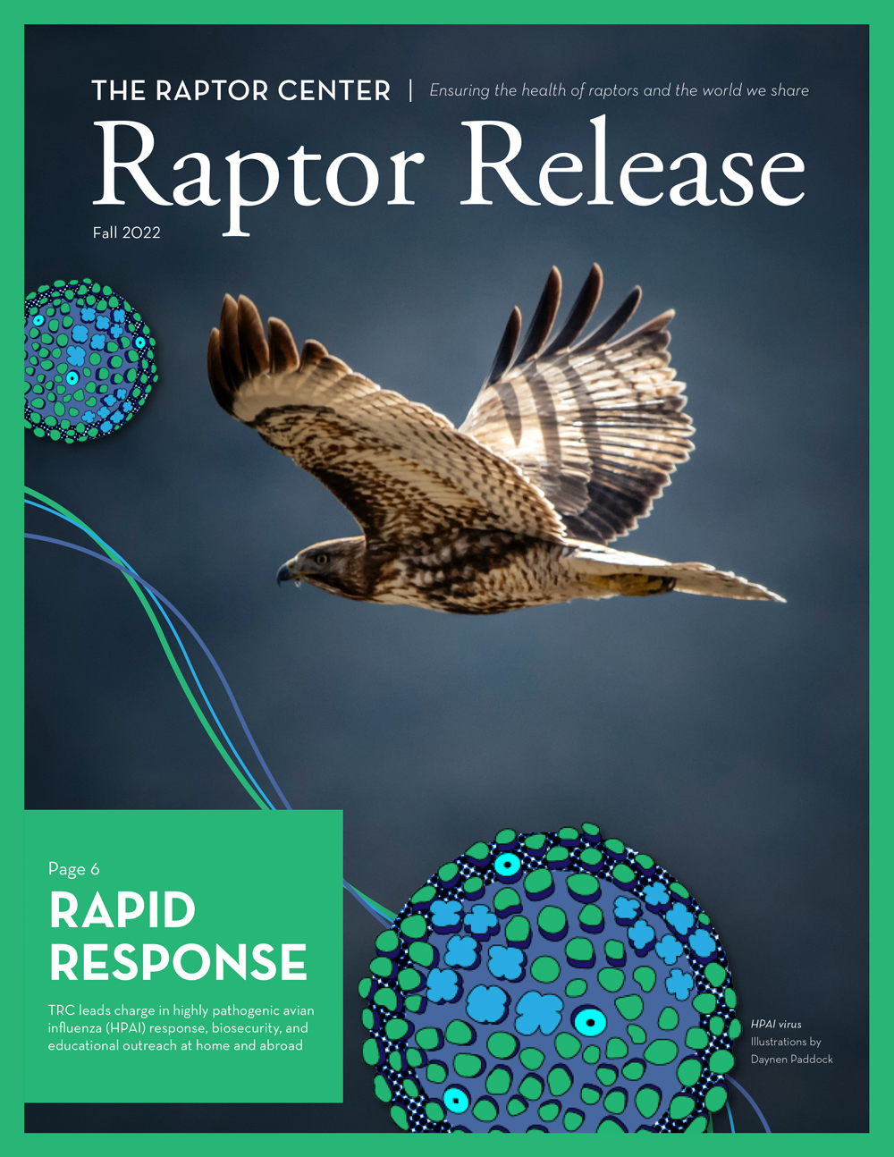 Raptor release Fall 2022 cover