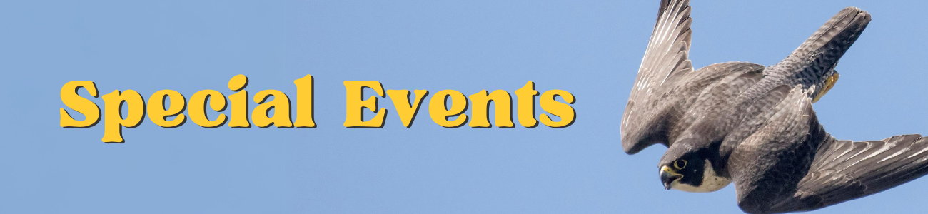 Special Events Banner