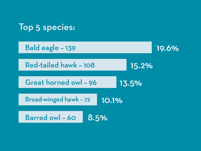 Bar chart of the top 5 species seen in the clinic