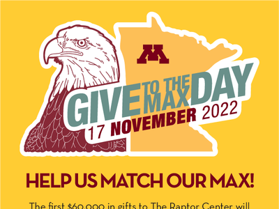 give to the max graphic