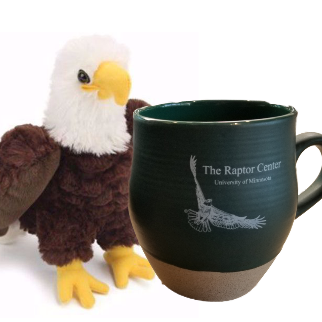 Mug and stuffed eagle