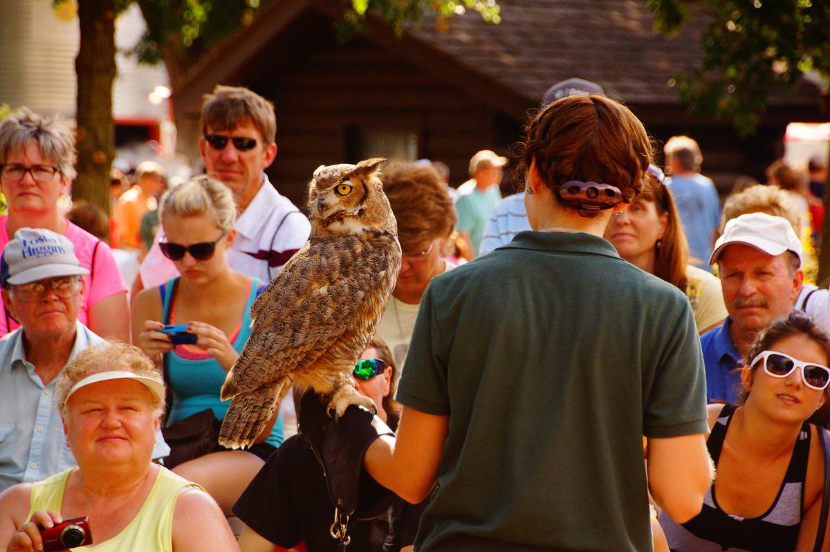 A Raptor Center volunteer with Lois the great horned owl