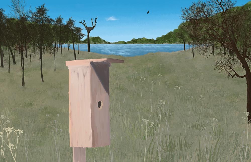 Illustration of a bird house in a field