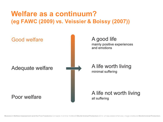 A description of animal welfare on a continuum scale