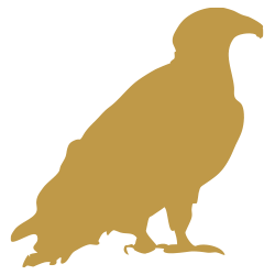 Bald eagle icon