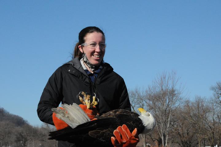TRC vet intern Ria holding an adult bald eagle for release