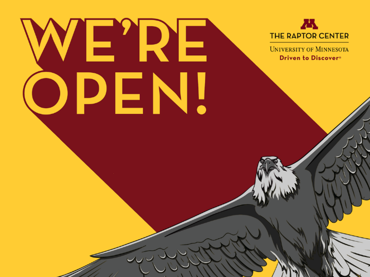 Cartoon eagle with the text, "we're open!"