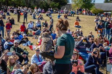 TRC naturalist with a great horned owl in front of a crowd