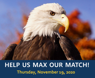 Give to the Max 2020