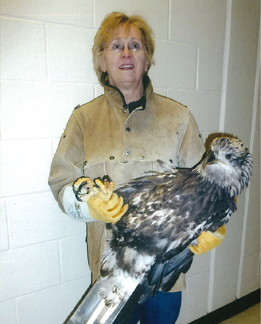 A woman with yellow gloves stands holding a rescued bird