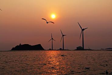 wind turbines over the water with a bird in flight