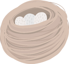 Illustration of a nest with eggs in it