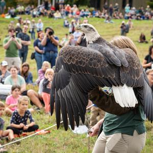 raptor being presented to an audience