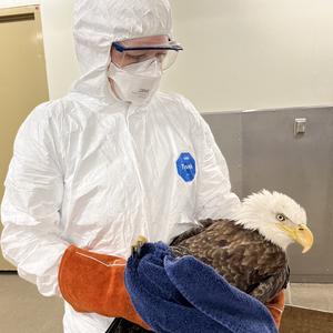 Dr. Dana Tyvek with eagle