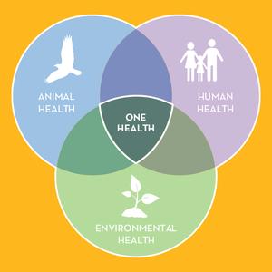 Venn diagram showing showing "one health" as the result of "animal health," "human health," and "environmental health" overlapping